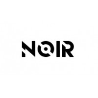 Noir (Dragonhawk)